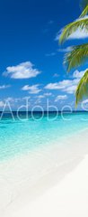 Samolepka na dvee flie 90 x 220, 151010448 - coco palms on tropical paradise beach with turquoise blue water and blue sky