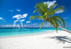 Fototapeta pltno 174 x 120, 151310725 - coco palm on tropical paradise island dream beach