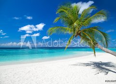 Samolepka flie 200 x 144, 151310725 - coco palm on tropical paradise island dream beach