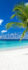 Samolepka na dvee flie 90 x 220, 151310725 - coco palm on tropical paradise island dream beach
