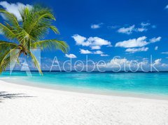 Samolepka flie 270 x 200, 151547263 - coco palm panorama wide format on tropical paradise dream beach