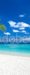 Samolepka na dvee flie 90 x 220, 151547263 - coco palm panorama wide format on tropical paradise dream beach