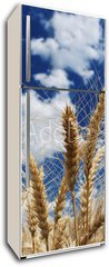 Samolepka na lednici fólie 80 x 200, 15194580 - Wheat - Pšenice