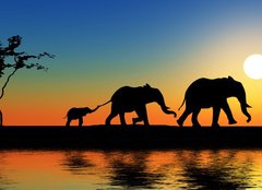 Fototapeta pltno 240 x 174, 15223089 - Family of elephants. - Rodina slon.