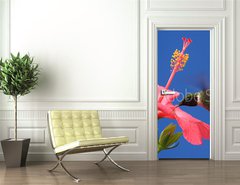 Samolepka na dvee flie 90 x 220, 15250716 - Ruby-throated Hummingbird - Rubn