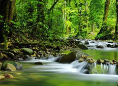 Samolepka flie 100 x 73, 15363026 - Mountain stream