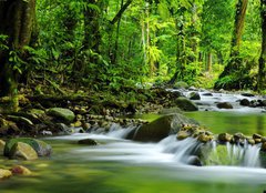 Fototapeta160 x 116  Mountain stream, 160 x 116 cm