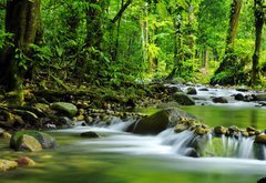 Fototapeta174 x 120  Mountain stream, 174 x 120 cm