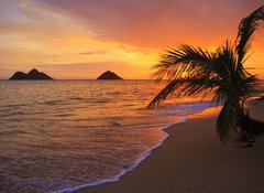 Fototapeta100 x 73  Pacific sunrise at Lanikai beach in Hawaii, 100 x 73 cm