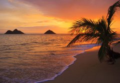 Samolepka flie 145 x 100, 15507041 - Pacific sunrise at Lanikai beach in Hawaii