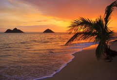 Fototapeta pltno 174 x 120, 15507041 - Pacific sunrise at Lanikai beach in Hawaii - Pacifik vchod slunce na pli Lanikai na Havaji