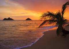 Fototapeta200 x 144  Pacific sunrise at Lanikai beach in Hawaii, 200 x 144 cm