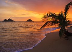 Fototapeta254 x 184  Pacific sunrise at Lanikai beach in Hawaii, 254 x 184 cm