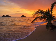Fototapeta330 x 244  Pacific sunrise at Lanikai beach in Hawaii, 330 x 244 cm