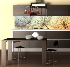 Fototapeta do kuchyn flie 260 x 60, 155375500 -  dandelion flower background
