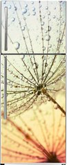 Samolepka na lednici flie 80 x 200, 155375500 -  dandelion flower background