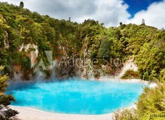 Samolepka flie 100 x 73, 15576886 - Hot thermal spring, New Zealand - Tepl pramen, Nov Zland