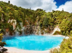Fototapeta pltno 330 x 244, 15576886 - Hot thermal spring, New Zealand