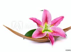 Samolepka flie 100 x 73, 15641215 - Beautiful lily flower