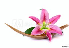 Samolepka flie 145 x 100  Beautiful lily flower, 145 x 100 cm