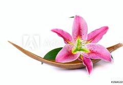 Fototapeta184 x 128  Beautiful lily flower, 184 x 128 cm