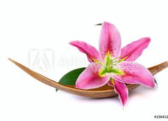 Samolepka flie 200 x 144  Beautiful lily flower, 200 x 144 cm