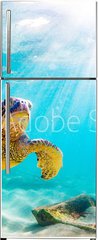 Samolepka na lednici flie 80 x 200  An endangered Hawaiian Green Sea Turtle cruises in the warm waters of the Pacific Ocean in Hawaii., 80 x 200 cm