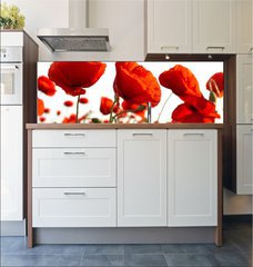 Fototapeta do kuchyn flie 180 x 60  Red poppies, 180 x 60 cm