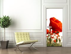 Samolepka na dvee flie 90 x 220  Red poppies, 90 x 220 cm