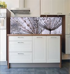 Fototapeta do kuchyn flie 180 x 60, 15712767 - dandelion seeds
