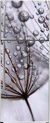 Samolepka na lednici flie 80 x 200, 15712767 - dandelion seeds