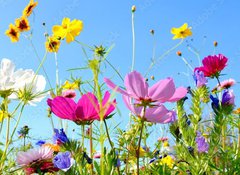 Samolepka flie 100 x 73, 157514845 - Blumenwiese