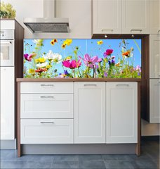 Fototapeta do kuchyn flie 180 x 60, 157514845 - Blumenwiese