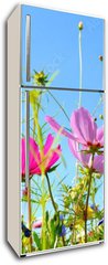 Samolepka na lednici fólie 80 x 200, 157514845 - Blumenwiese