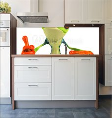 Fototapeta do kuchyn flie 180 x 60  Grenouille avec un panneau, 180 x 60 cm