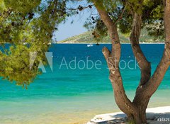 Samolepka flie 100 x 73, 15821221 - Pine tree on a beach