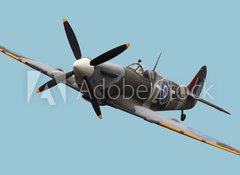 Fototapeta vliesov 100 x 73, 15824540 - Isolated Spitfire - Izolovan Spitfire