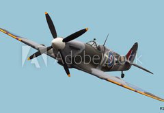 Fototapeta145 x 100  Isolated Spitfire, 145 x 100 cm