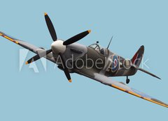 Fototapeta pltno 160 x 116, 15824540 - Isolated Spitfire - Izolovan Spitfire