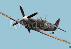 Fototapeta pltno 174 x 120, 15824540 - Isolated Spitfire