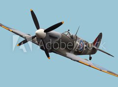 Fototapeta vliesov 270 x 200, 15824540 - Isolated Spitfire - Izolovan Spitfire