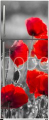 Samolepka na lednici flie 80 x 200, 158374540 - red poppies, black and white
