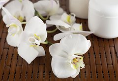 Fototapeta174 x 120  Face cream and white orchid on a bamboo mate, 174 x 120 cm