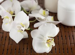 Fototapeta330 x 244  Face cream and white orchid on a bamboo mate, 330 x 244 cm