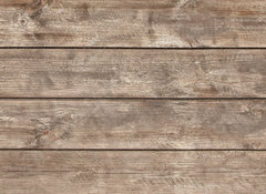 Samolepka flie 100 x 73, 158650210 - panorama  patern wood textured - panorama patern devo texturou