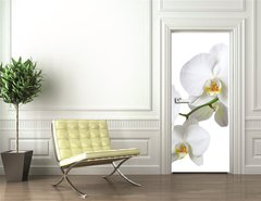 Samolepka na dvee flie 90 x 220, 15872773 - Orchidee - Orchidea