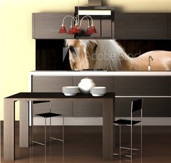 Fototapeta do kuchyn flie 260 x 60  Haflinger Portrait, 260 x 60 cm