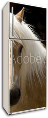 Samolepka na lednici flie 80 x 200  Haflinger Portrait, 80 x 200 cm