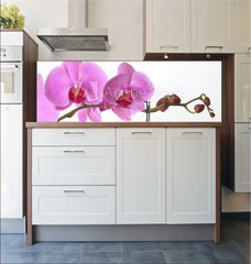 Fototapeta do kuchyn flie 180 x 60, 15946659 - Orchid Phalaenopsis