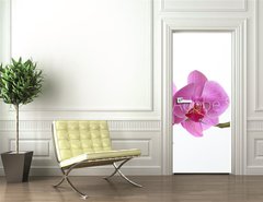 Samolepka na dvee flie 90 x 220  Orchid Phalaenopsis, 90 x 220 cm